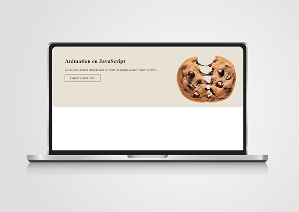 Visuel animation JS